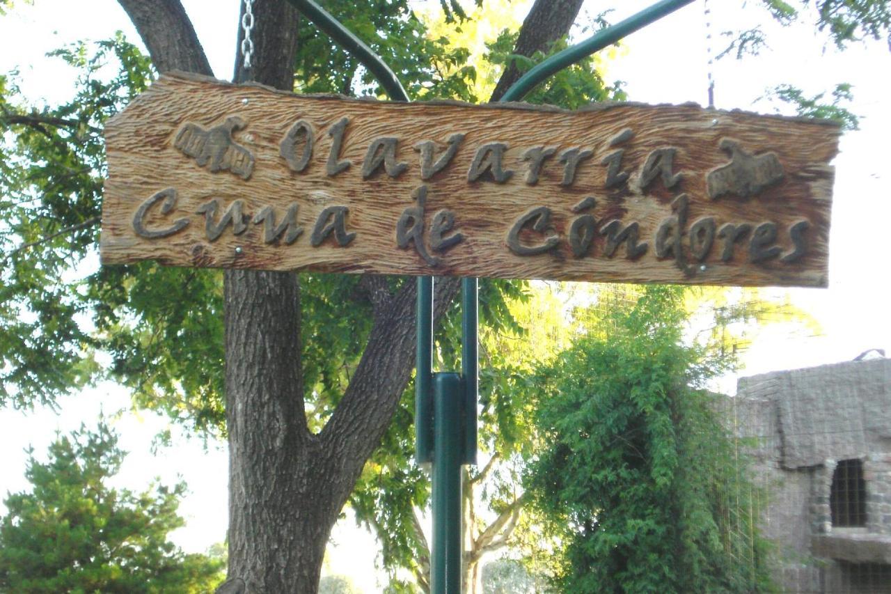 Kurmi Olavarría Exterior foto